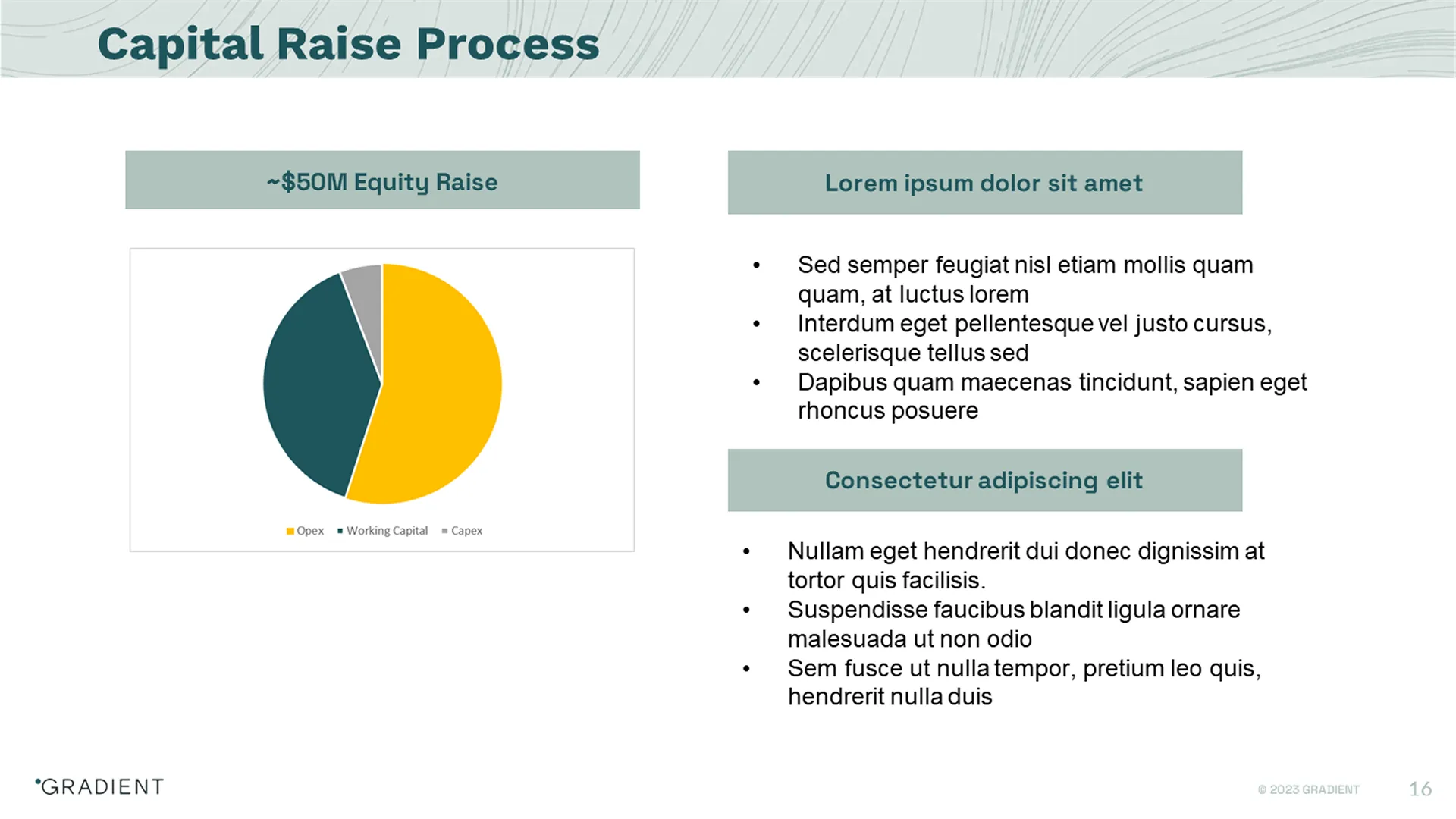 Capital raise slide featuring a basic pie chart, ready for optimization in a series b pitch deck.