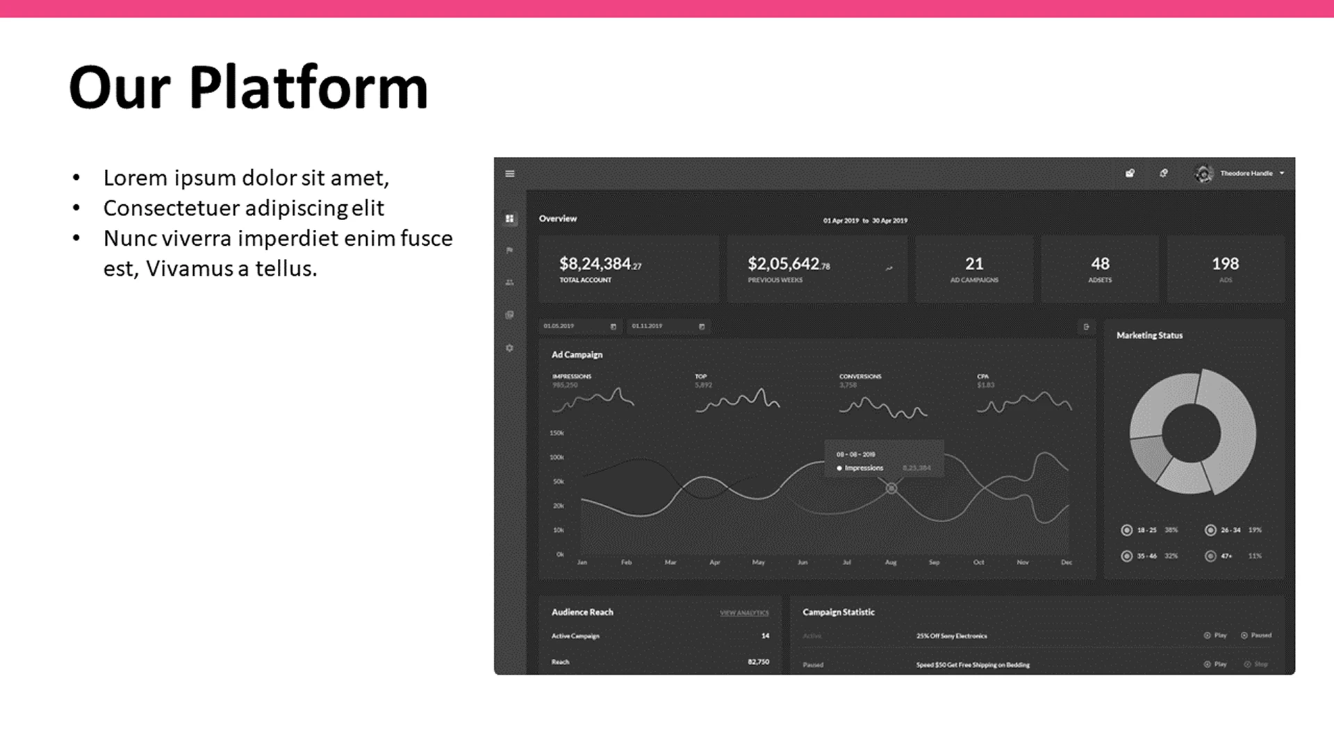 Early version of the platform dashboard slide for a tech pitch deck.