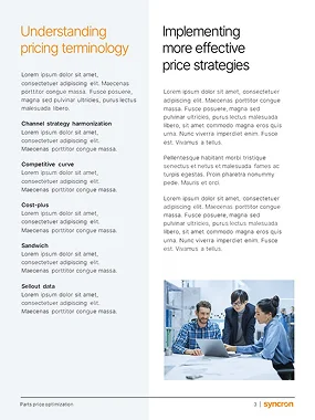 Presentation design agency Los Angeles layout for Syncron, organizing complex pricing terminology into clear columns with custom subheadings.