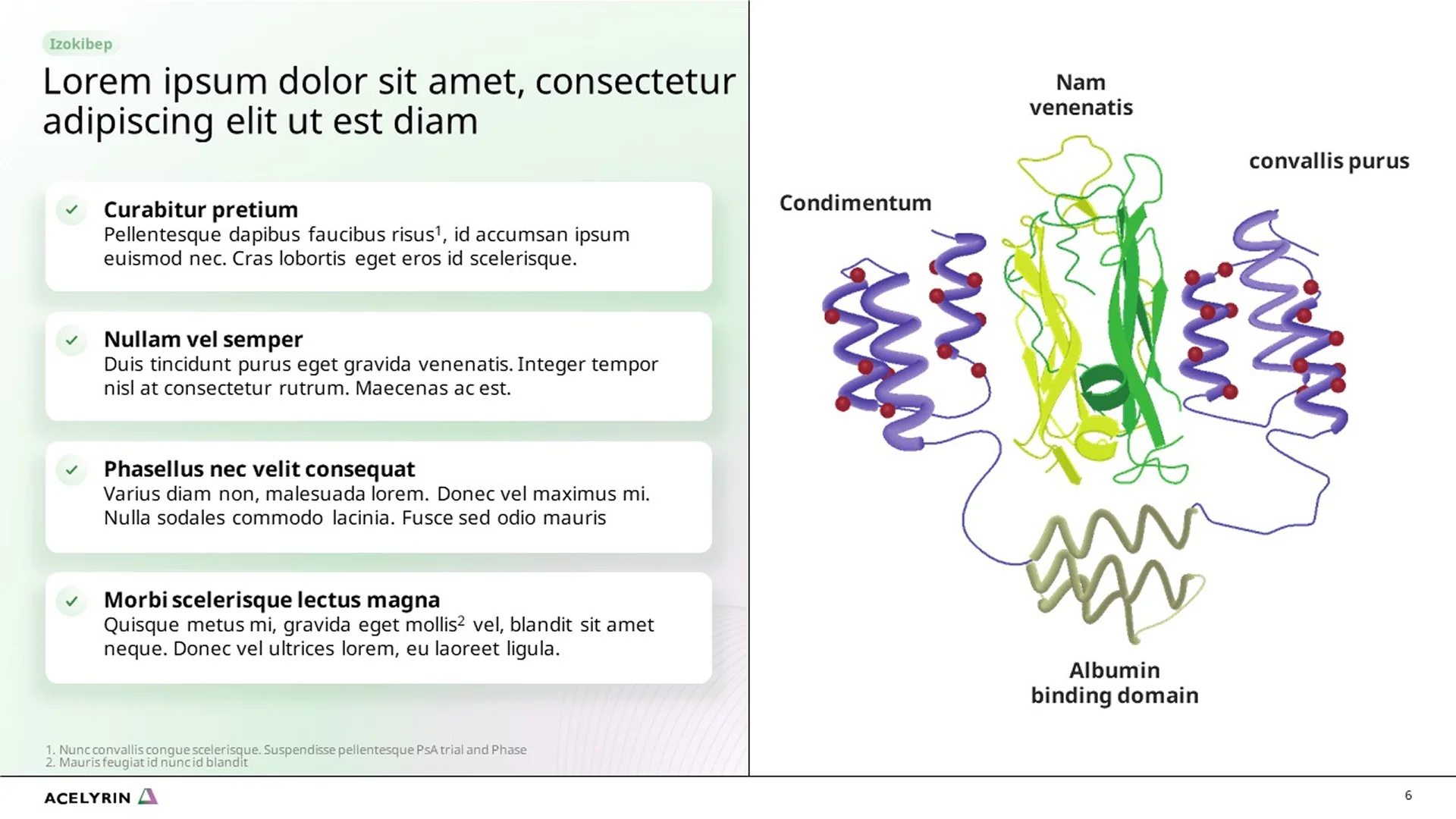 Corporate overview deck featuring a pitch deck slide with Acelyrin's molecular diagram for biopharma. This pitch decks presentation highlights scientific research on albumin binding domains.