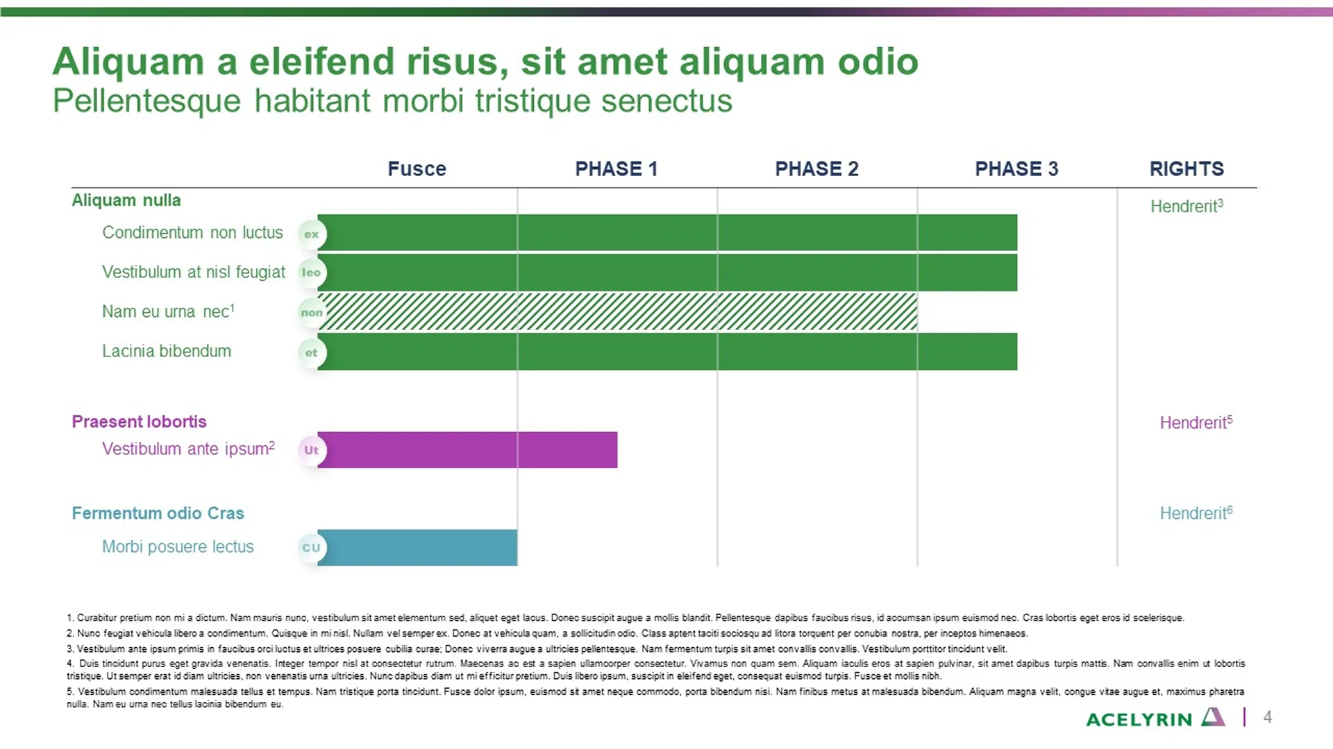 Corporate overview deck featuring a pitch deck slide with Acelyrin's biopharma development timeline. This pitch decks presentation highlights clinical phases and product progression