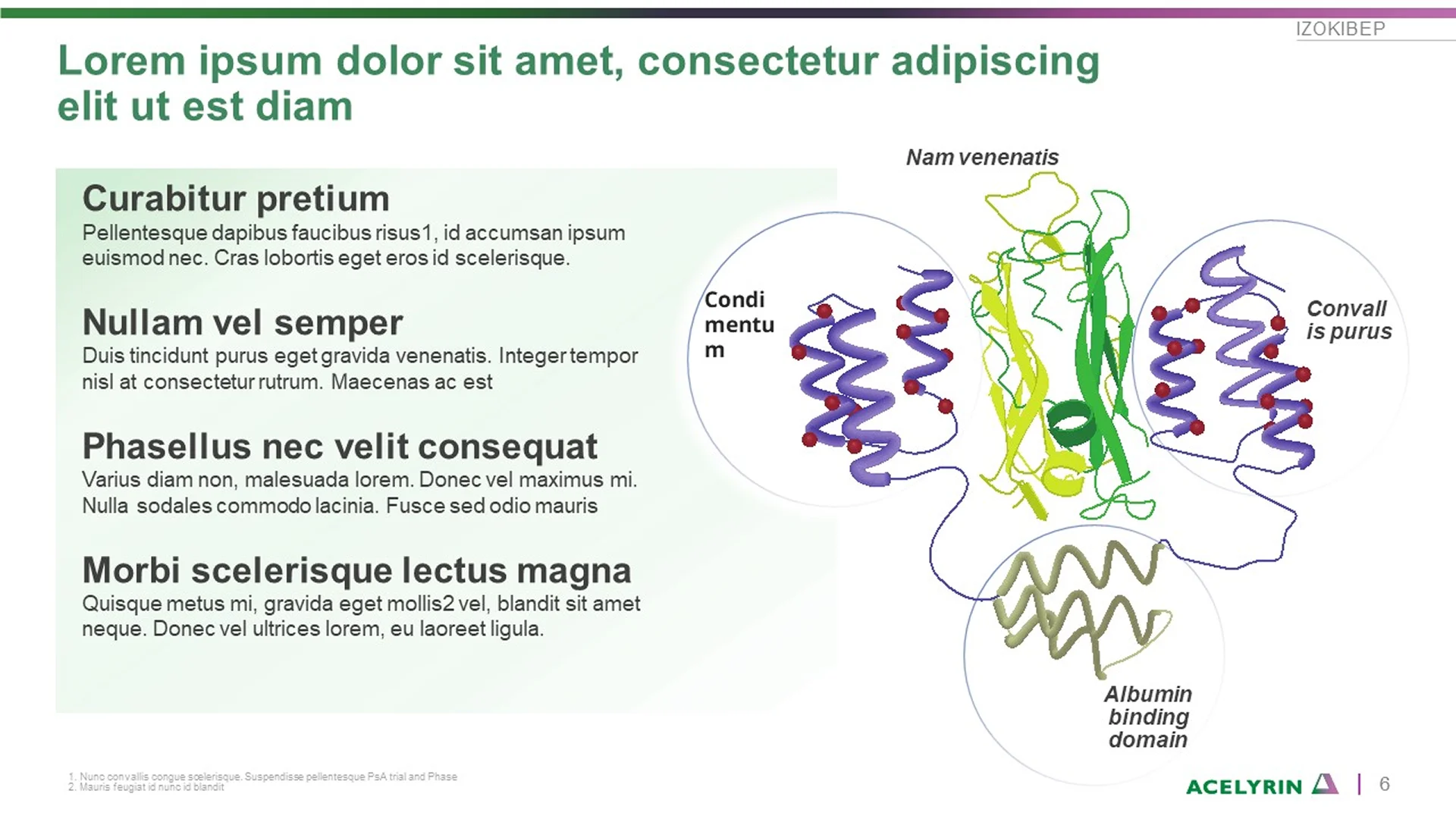 Corporate overview deck featuring a pitch deck slide with Acelyrin's molecular diagram for biopharma. This pitch decks presentation highlights scientific research on albumin binding domains.