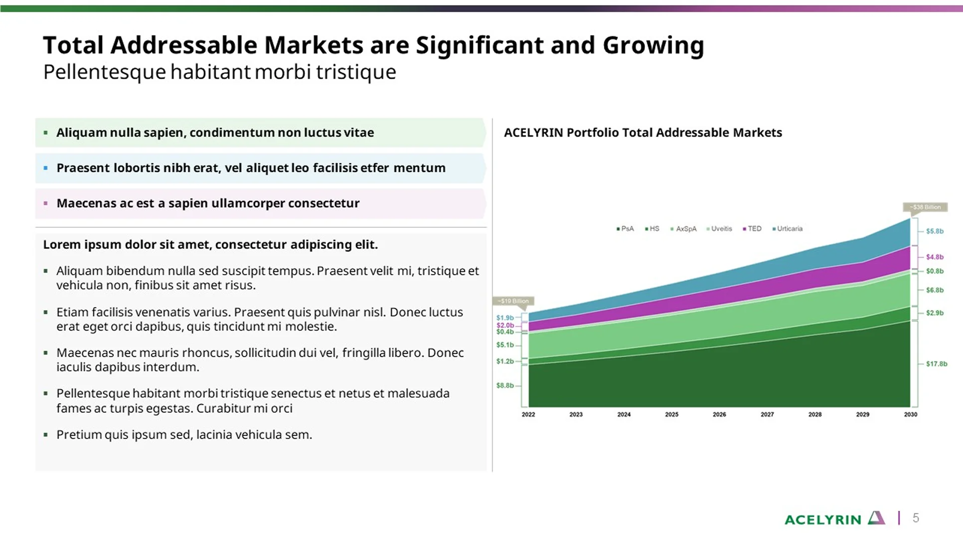 Corporate overview deck featuring a pitch deck slide with Acelyrin's timeline projection for biopharma. This pitch decks presentation highlights a development chart for clinical progress.