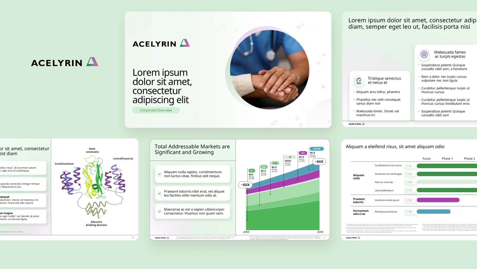 Corporate overview deck hero image for Acelyrin featuring clinical data charts and molecular visuals, designed by biopharma presentation design experts for a biotech investor presentation.
