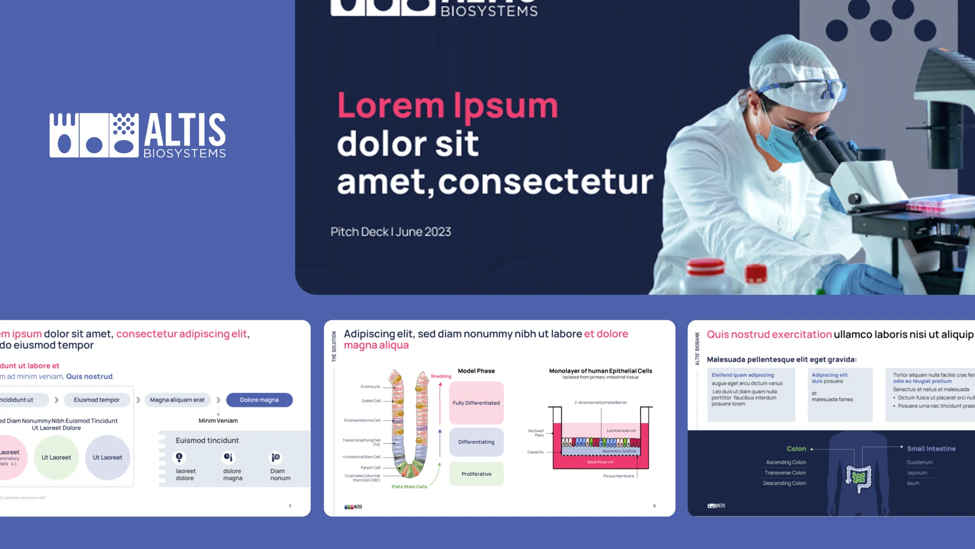 Series A pitch deck hero image for Altis Biosystems featuring "Intestinal Epithelium" research slides and lab imagery, designed by scientific presentation design experts for a biotech pitch deck.