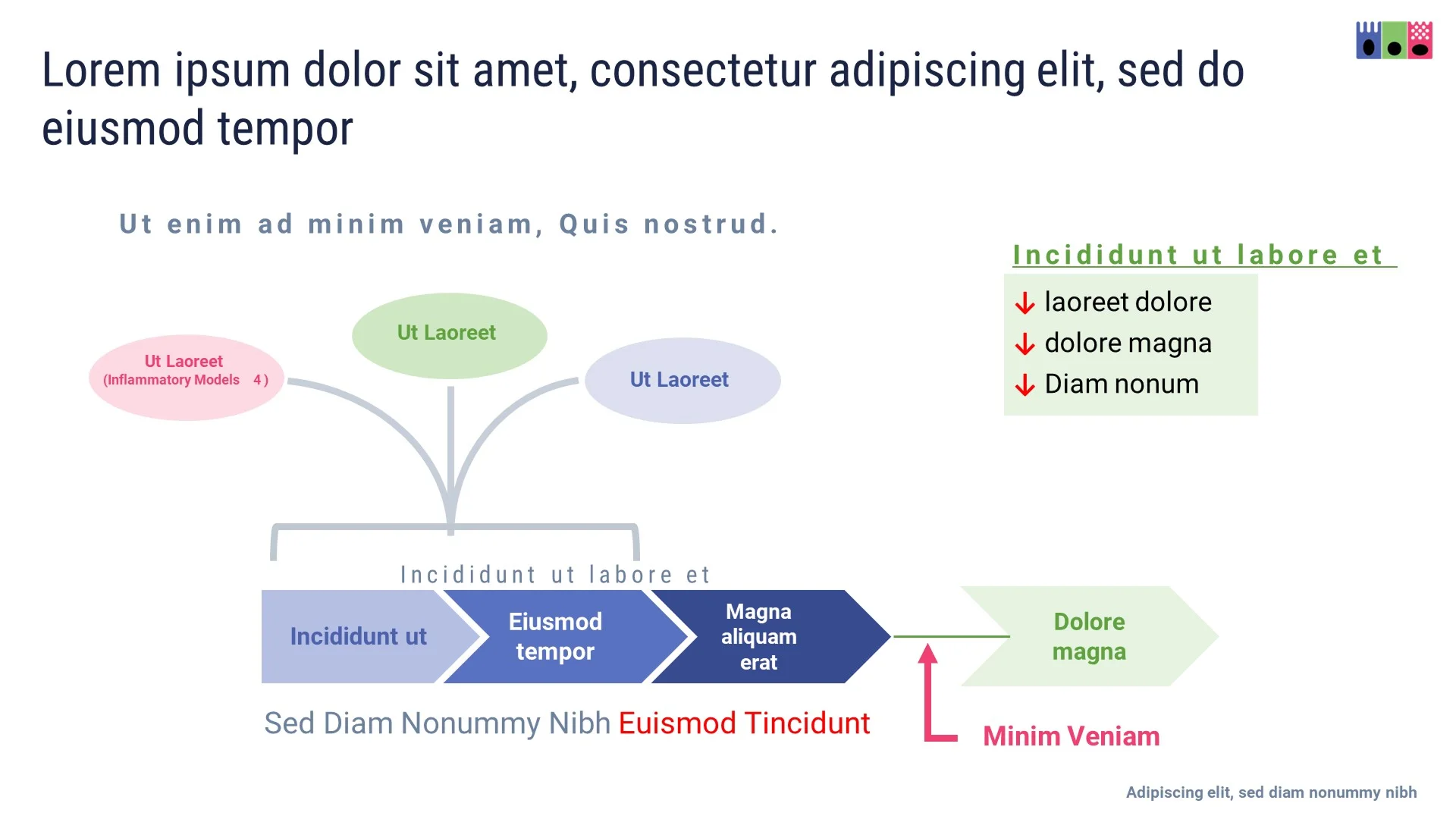 Original process flowchart with complex arrows and dense text, lacking the clarity needed for a biotech pitch deck.