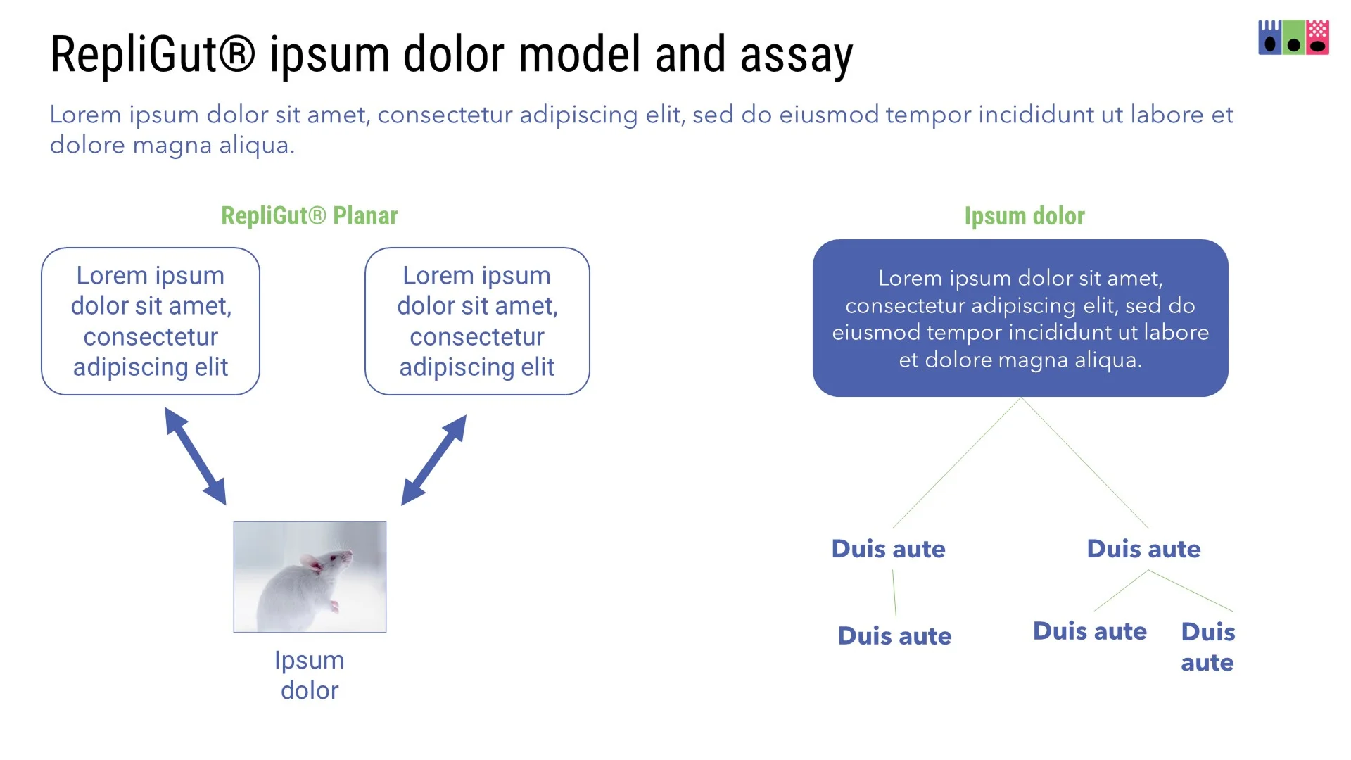 Original "RepliGut" assay model slide with disjointed diagrams, failing to clearly explain the platform in a biotech pitch deck.