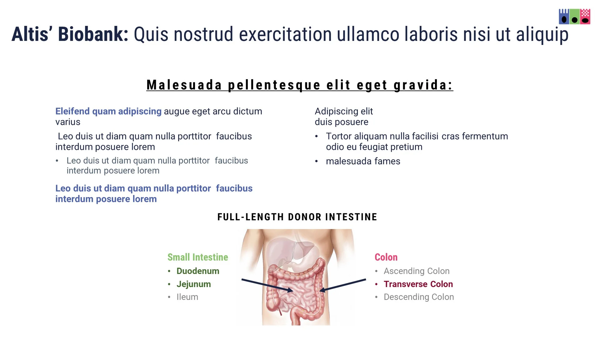 Original "Biobank" slide with generic anatomical clip art and bullet points, lacking the sophistication needed for a biotech pitch deck.
