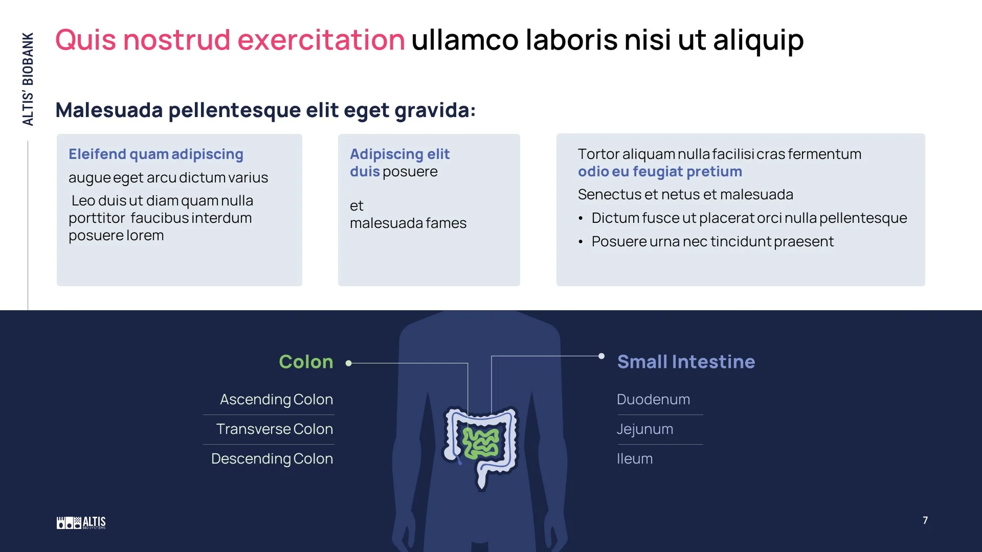 Redesigned biobank slide featuring a sleek dark interface and custom icons to segment intestinal regions, created by scientific presentation design experts.