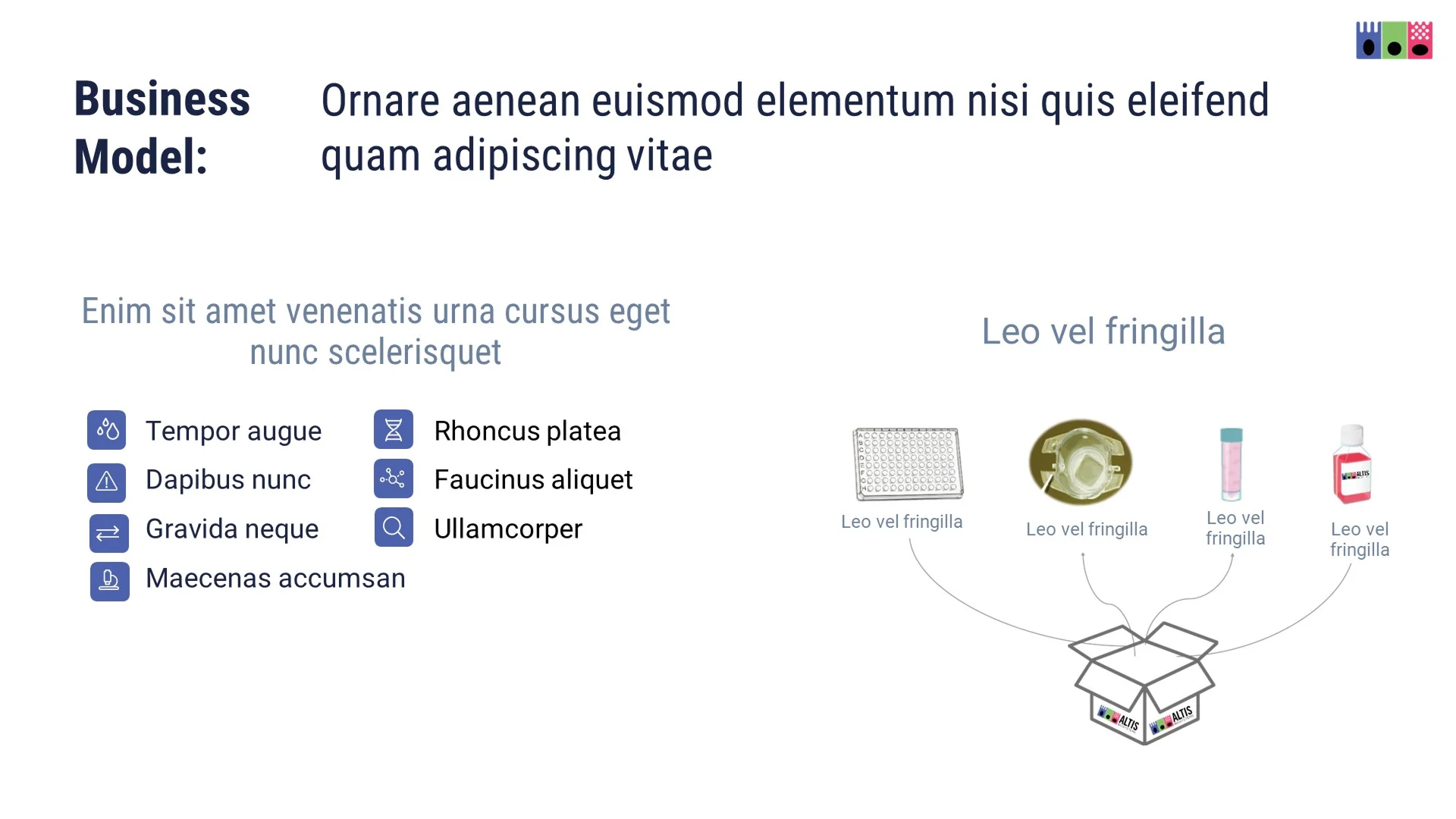 Original "Business Model" slide with a basic, unbranded diagram that fails to showcase the product kit effectively for a biotech pitch deck.