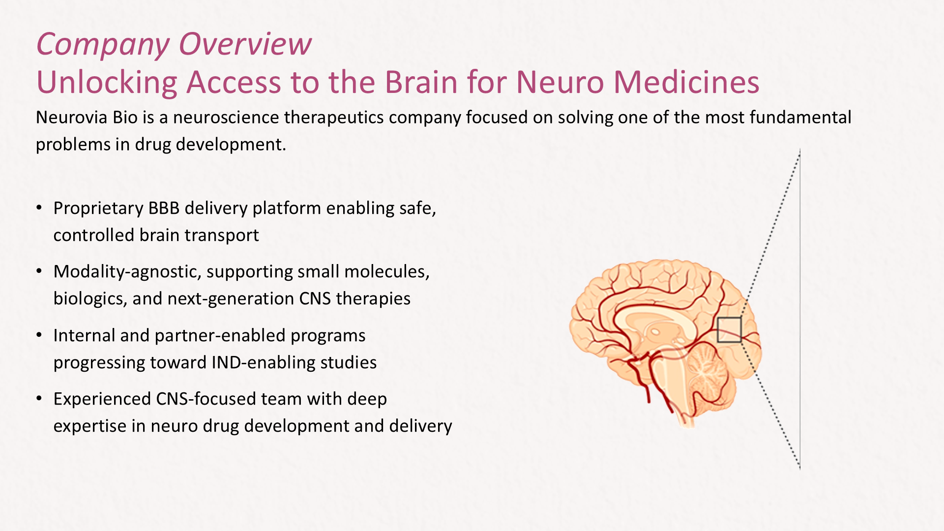 Before company overview slide from a neuroscience Series A investor deck, featuring dense text blocks and limited visual hierarchy explaining a CNS drug delivery platform