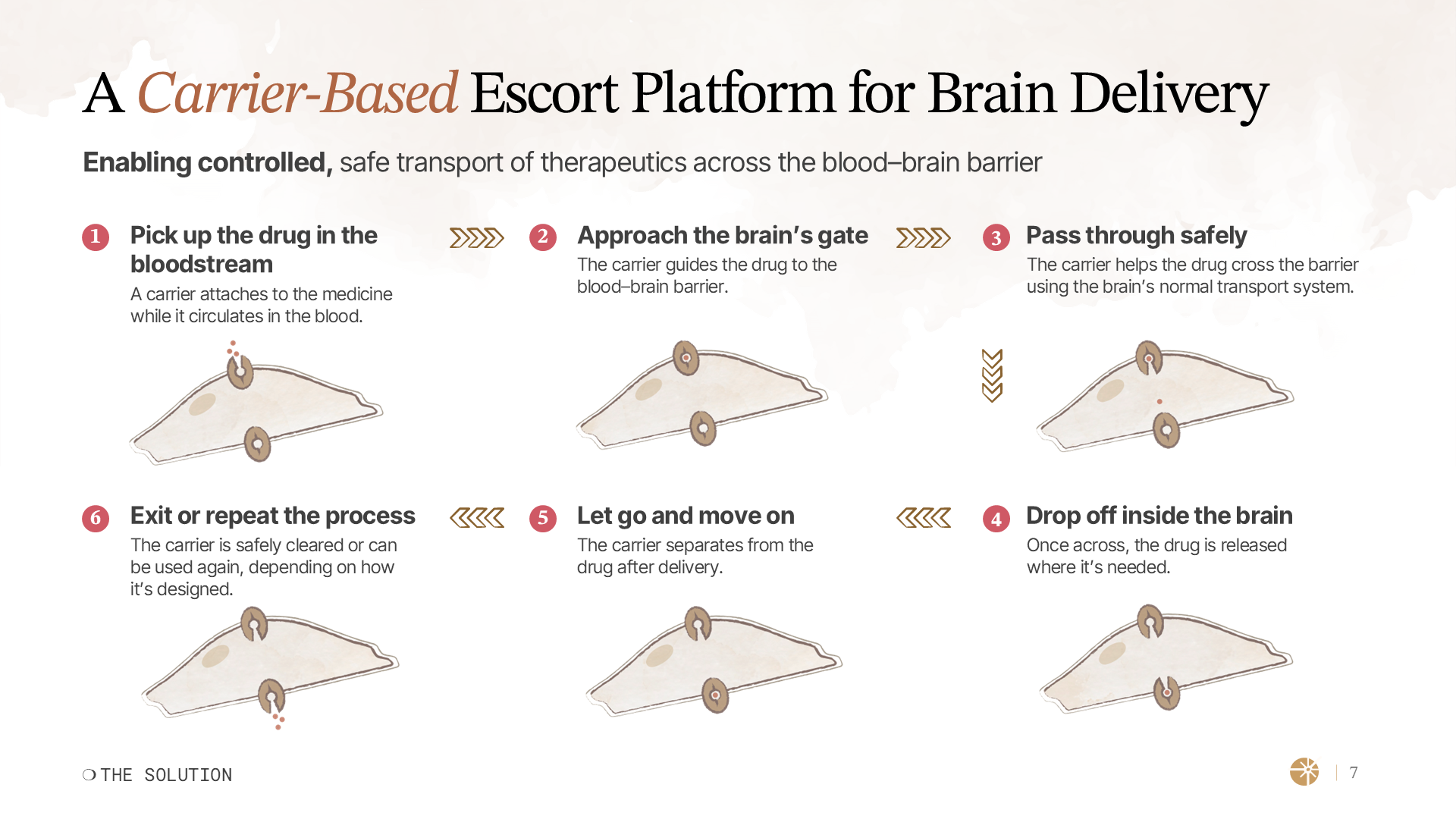 Healthcare Series A investor slide visualizing a carrier-based brain delivery mechanism step by step, showing how therapeutics cross the blood–brain barrier safely.
