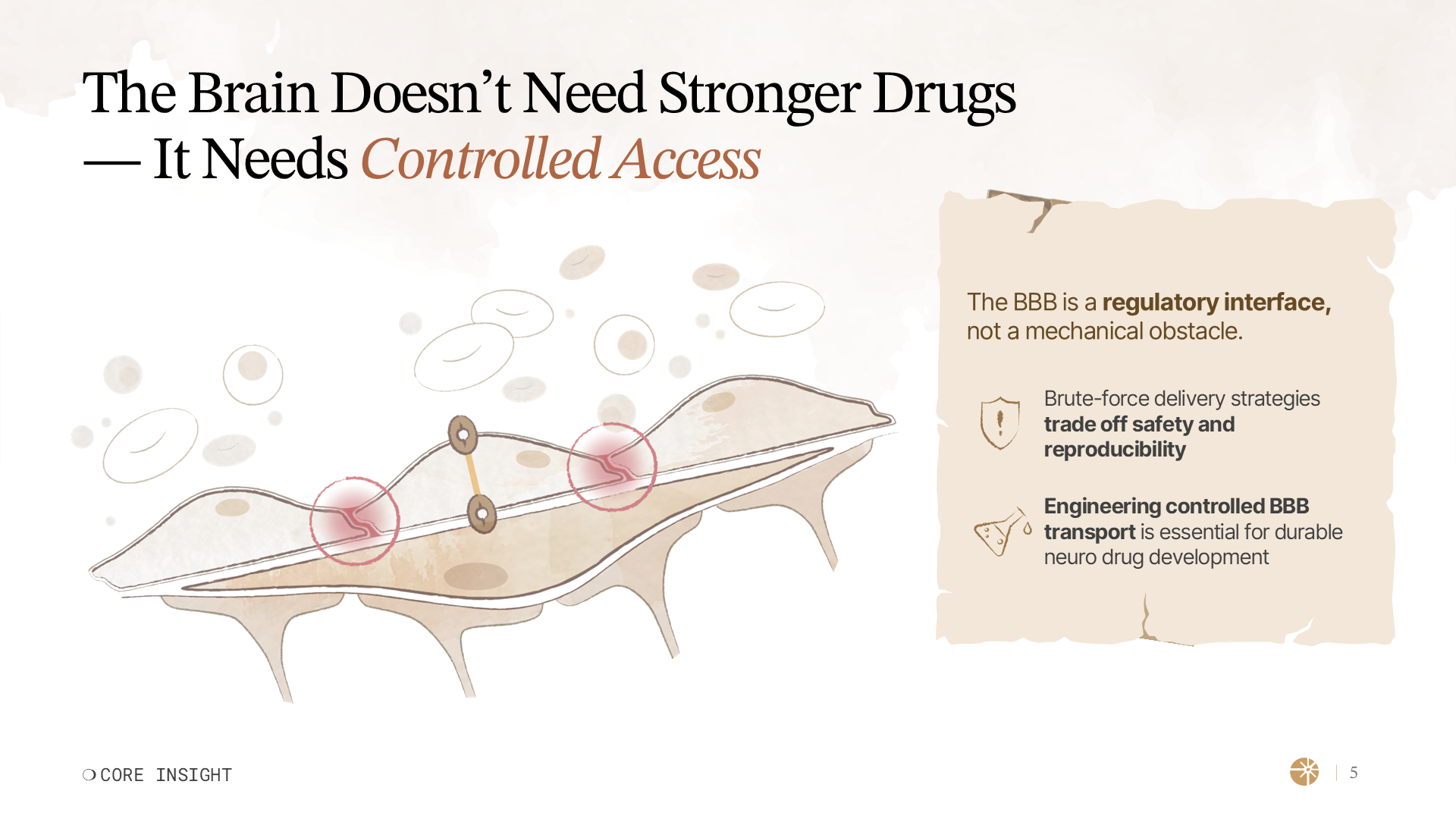 Investor-ready core insight slide from a healthcare pitch deck, using a simplified blood–brain barrier illustration to explain controlled CNS drug transport.