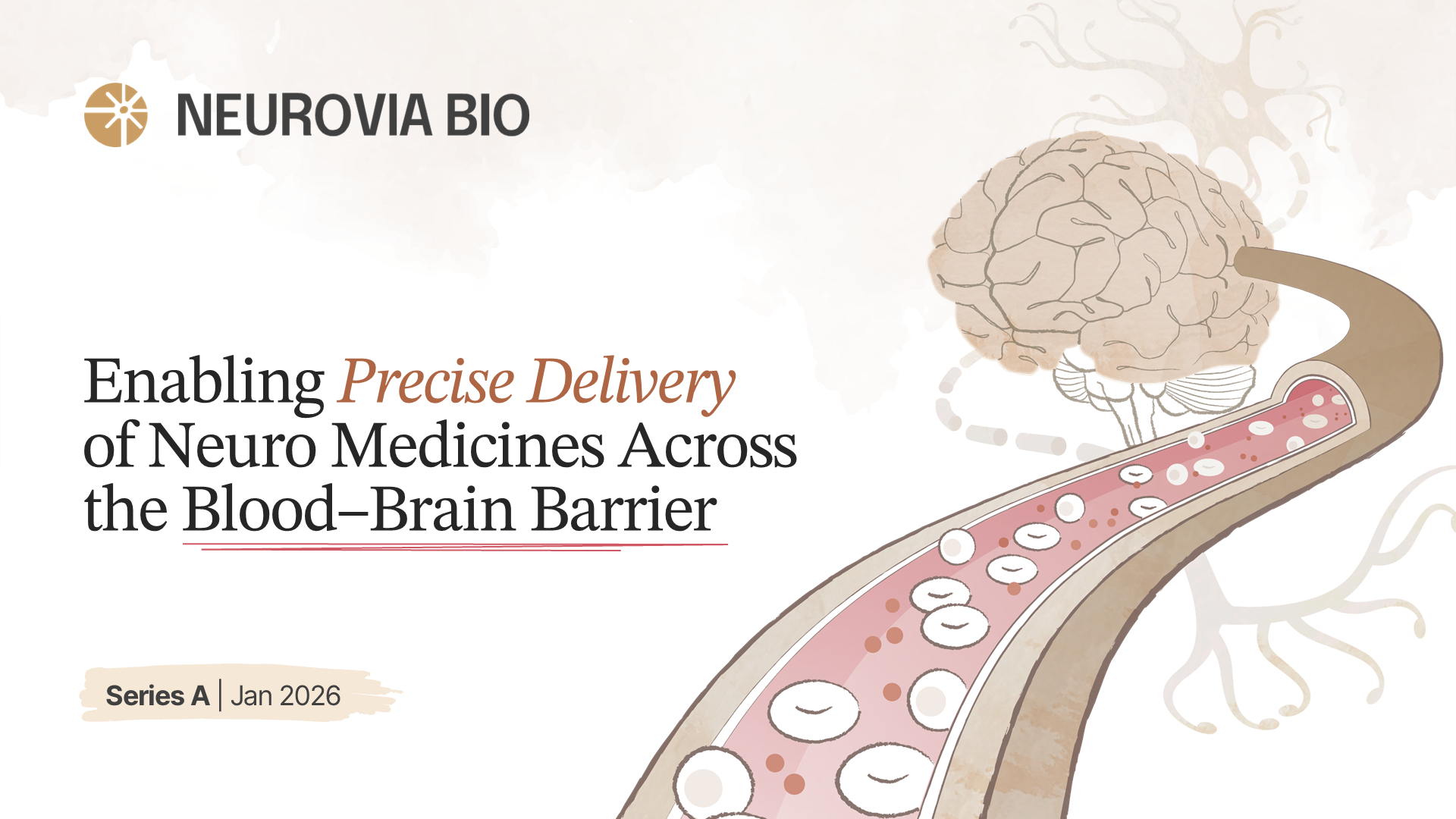Healthcare Series A investor pitch deck for a neuroscience startup, visualizing a proprietary CNS drug delivery platform addressing the blood–brain barrier challenge.