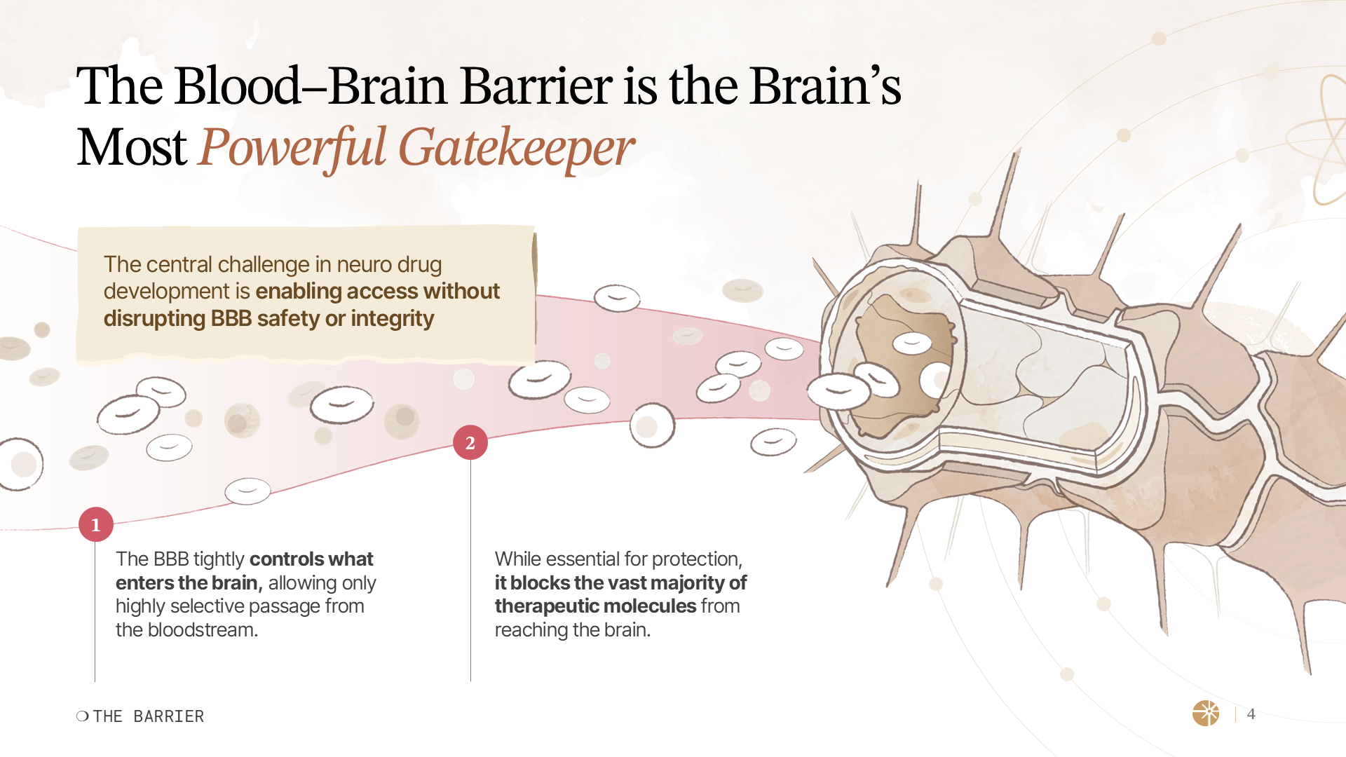 Final explanatory slide from a neuroscience investor deck, visually illustrating how the blood–brain barrier acts as a selective gatekeeper in CNS therapeutics delivery