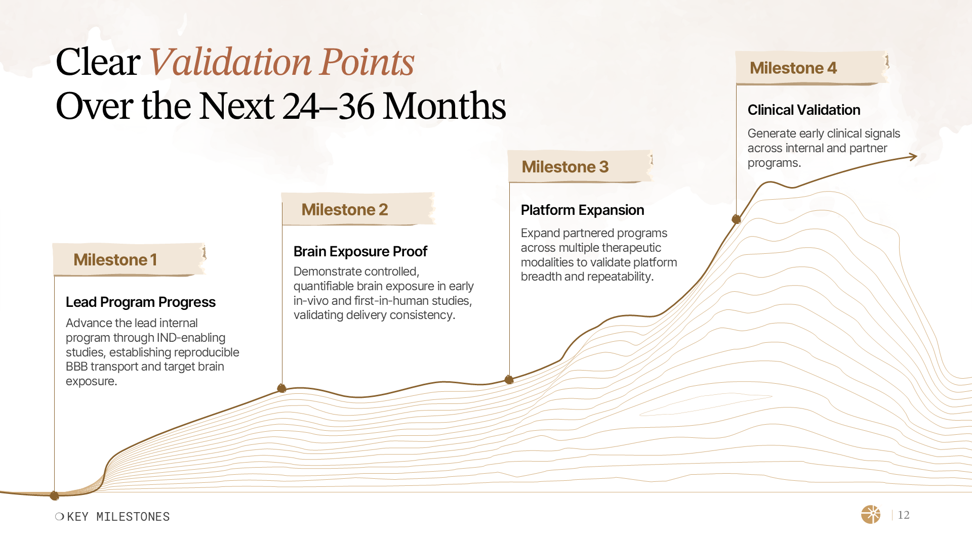 Final milestones slide from a healthcare pitch deck, showing clear 24–36 month validation points for blood–brain barrier transport and CNS platform expansion