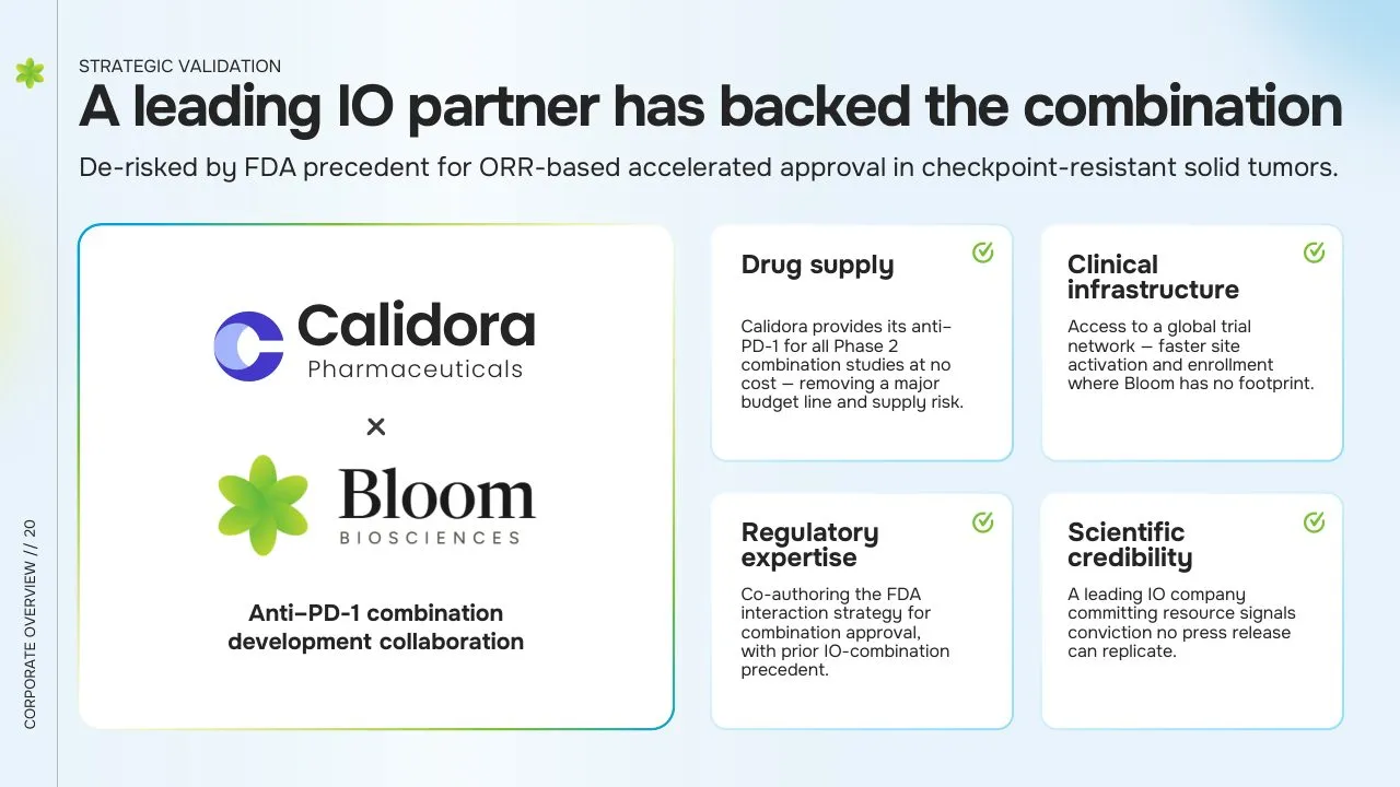 Strategic IO Partner