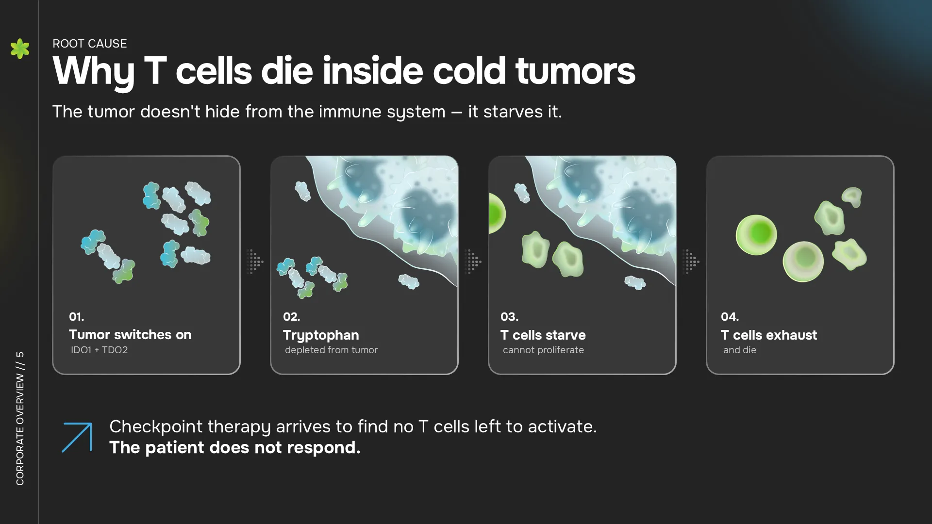 Why T Cells Die in Cold Tumors