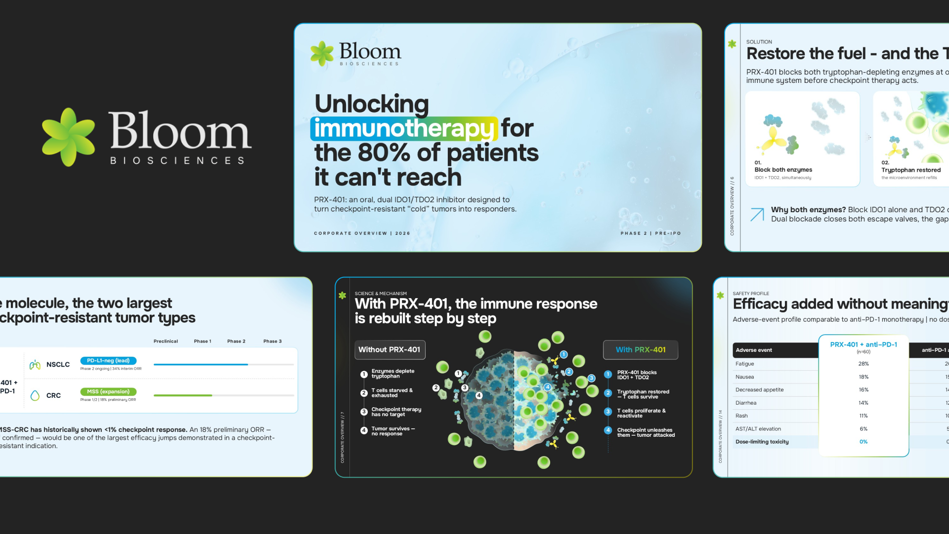 Pre-IPO company overview deck designed for Bloom BioSciences, a clinical-stage biotech developing oral immunotherapy