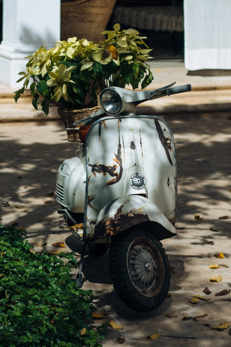 Dowozimy kwiaty pod wskazany adres