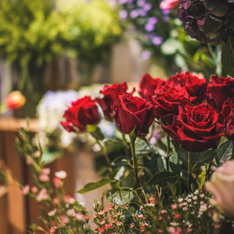 Róże w kwiaciarnii