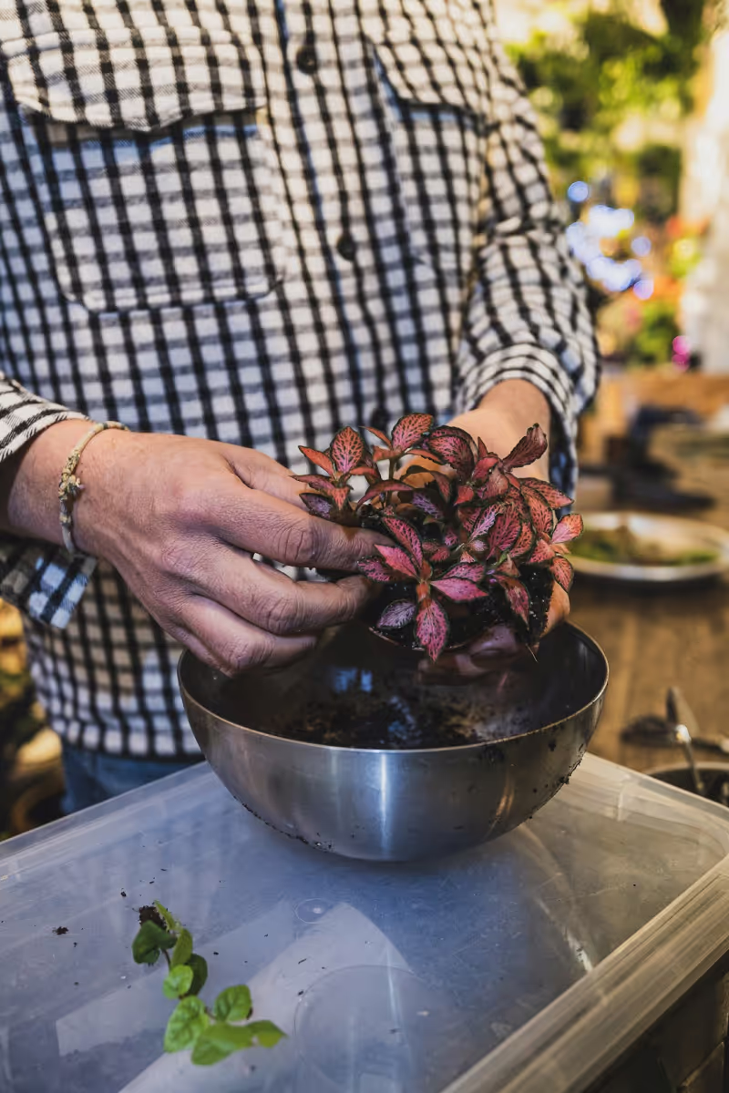 Pracownik kwiaciarni