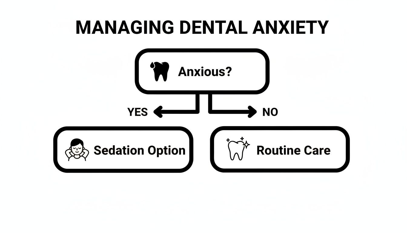 Flowchart illustrating managing dental anxiety, offering sedation for anxious patients and routine care otherwise.