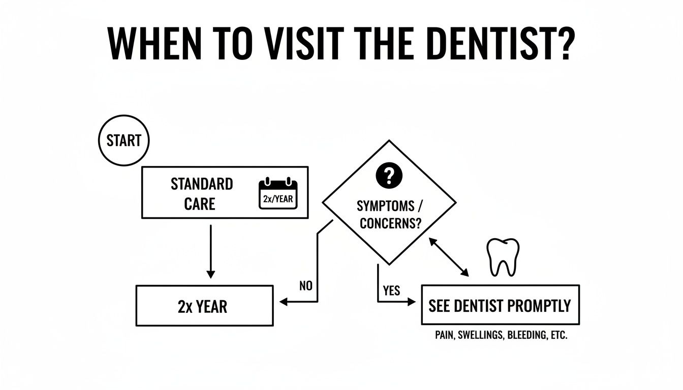 Flowchart illustrating when to visit the dentist, including standard care and prompt visits for symptoms.