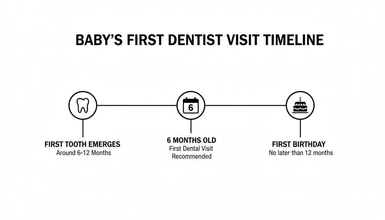 Timeline illustrating a baby's first dentist visit recommendations, including tooth emergence, 6 months old, and first birthday.