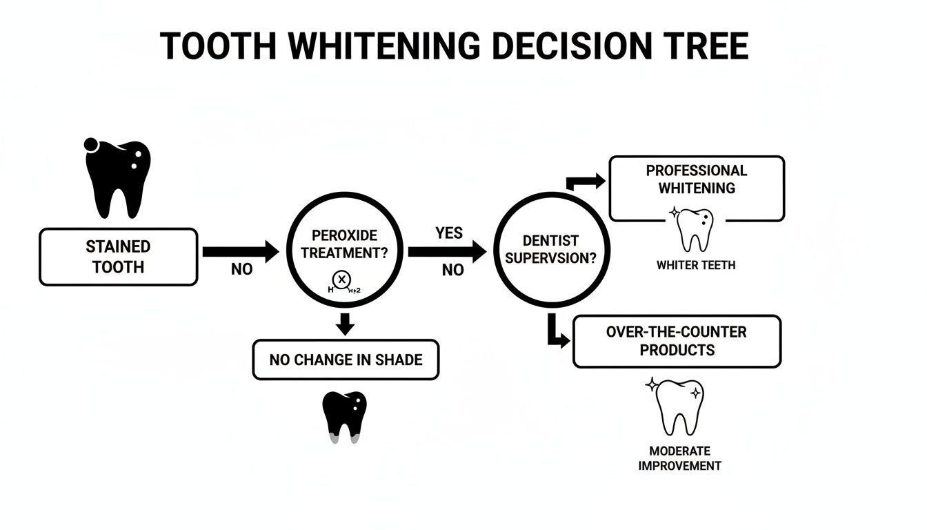 Decision tree flowchart outlining tooth whitening options, from stained tooth to professional or at-home treatments.