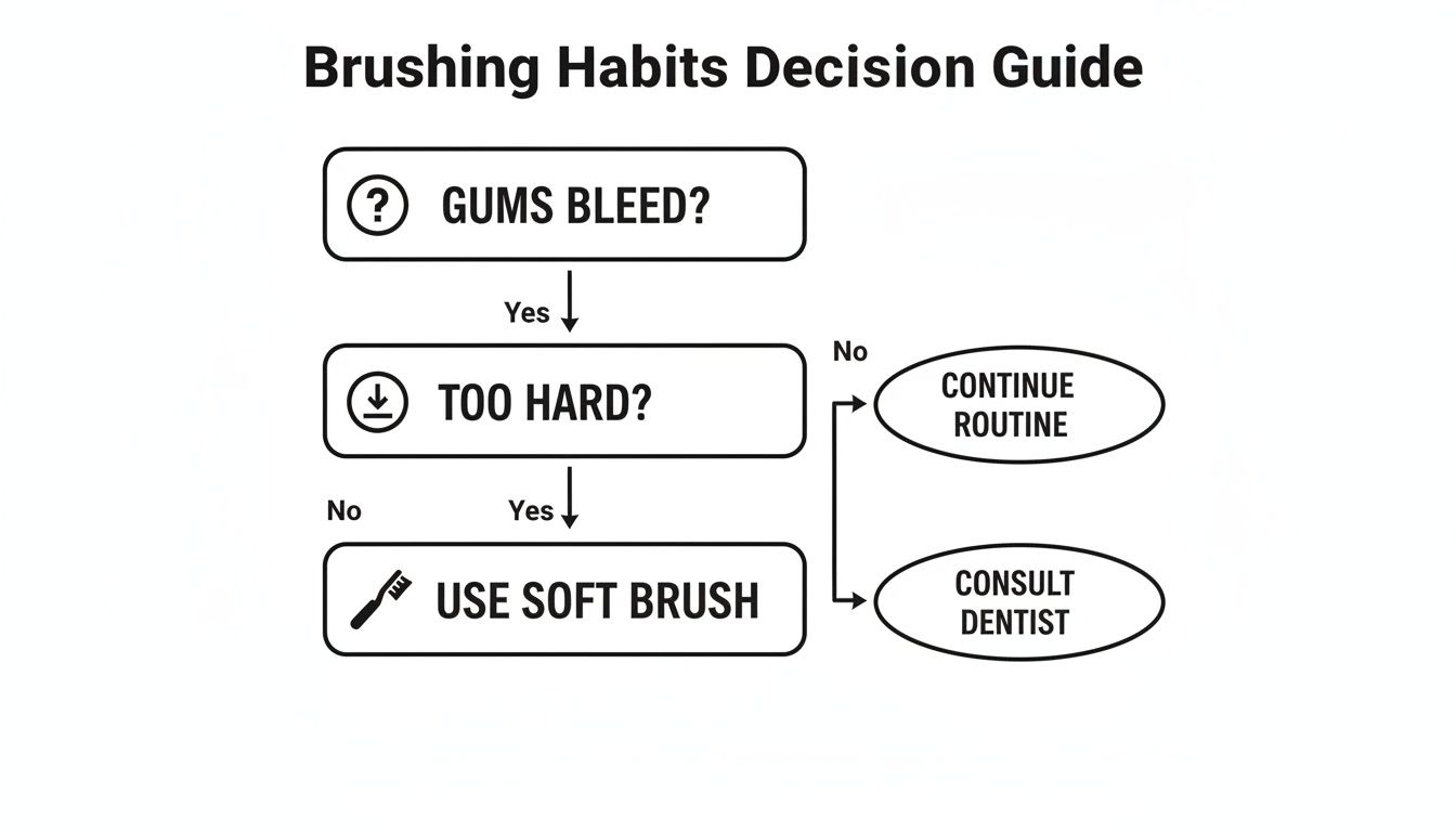 Flowchart guiding brushing habits decisions based on gums bleeding and brushing too hard.