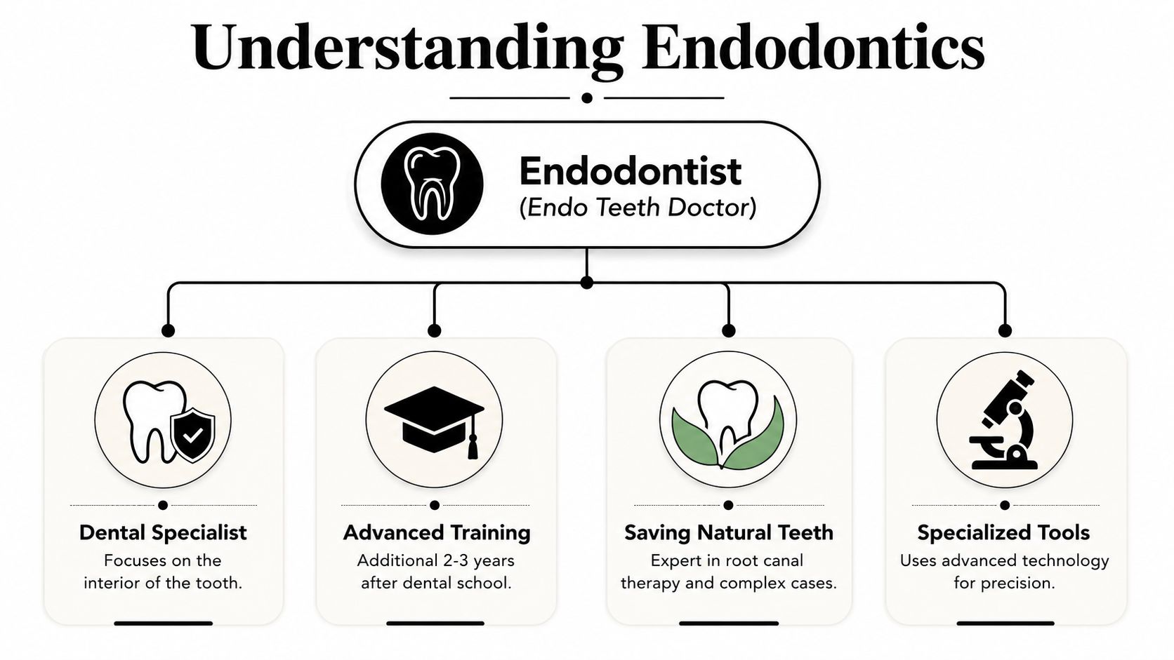 A diagram explaining the role and specialized training of an endodontist as a dental specialist.