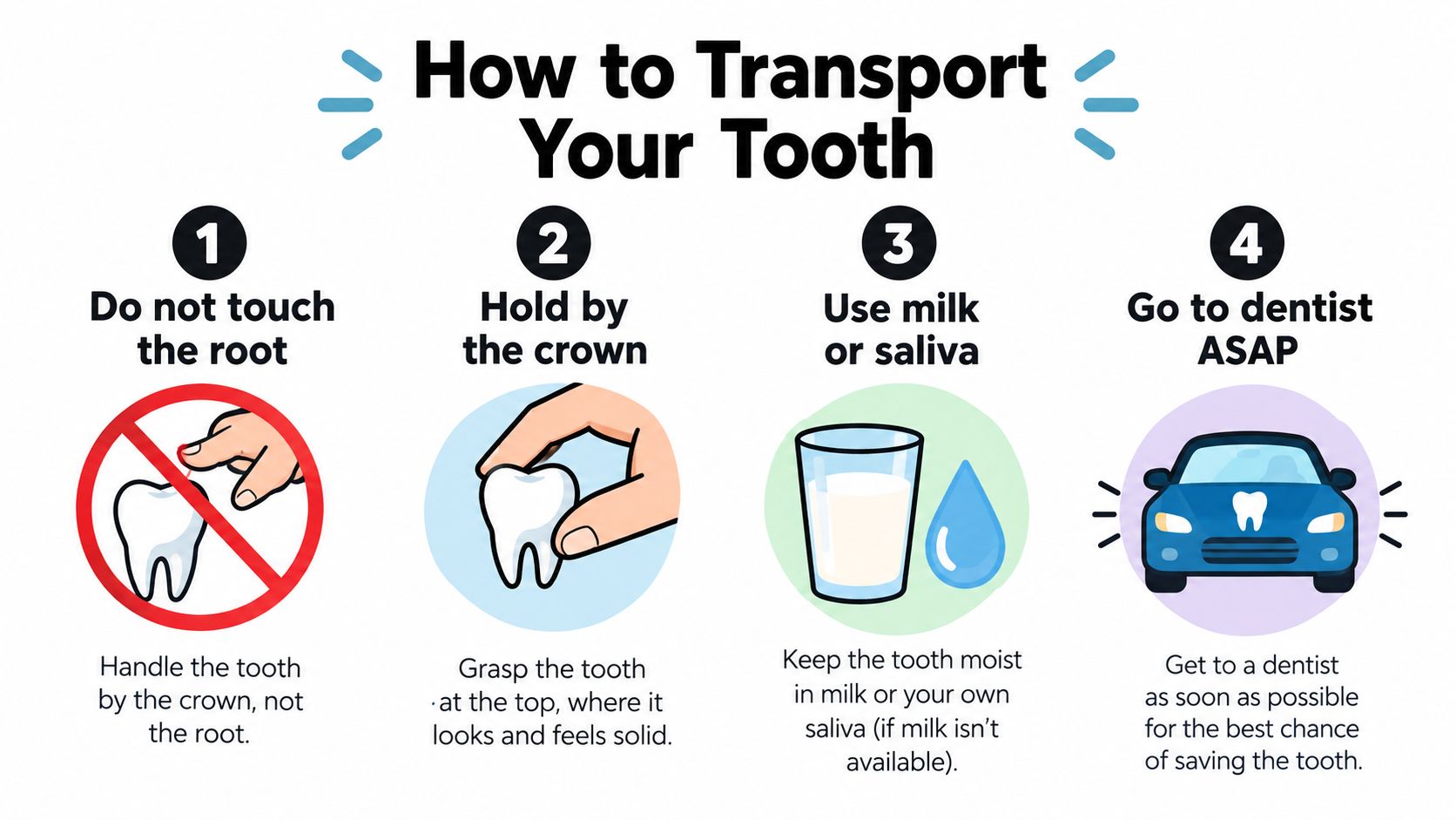 A four-step infographic illustrating proper handling and transport of a knocked out tooth to save it.