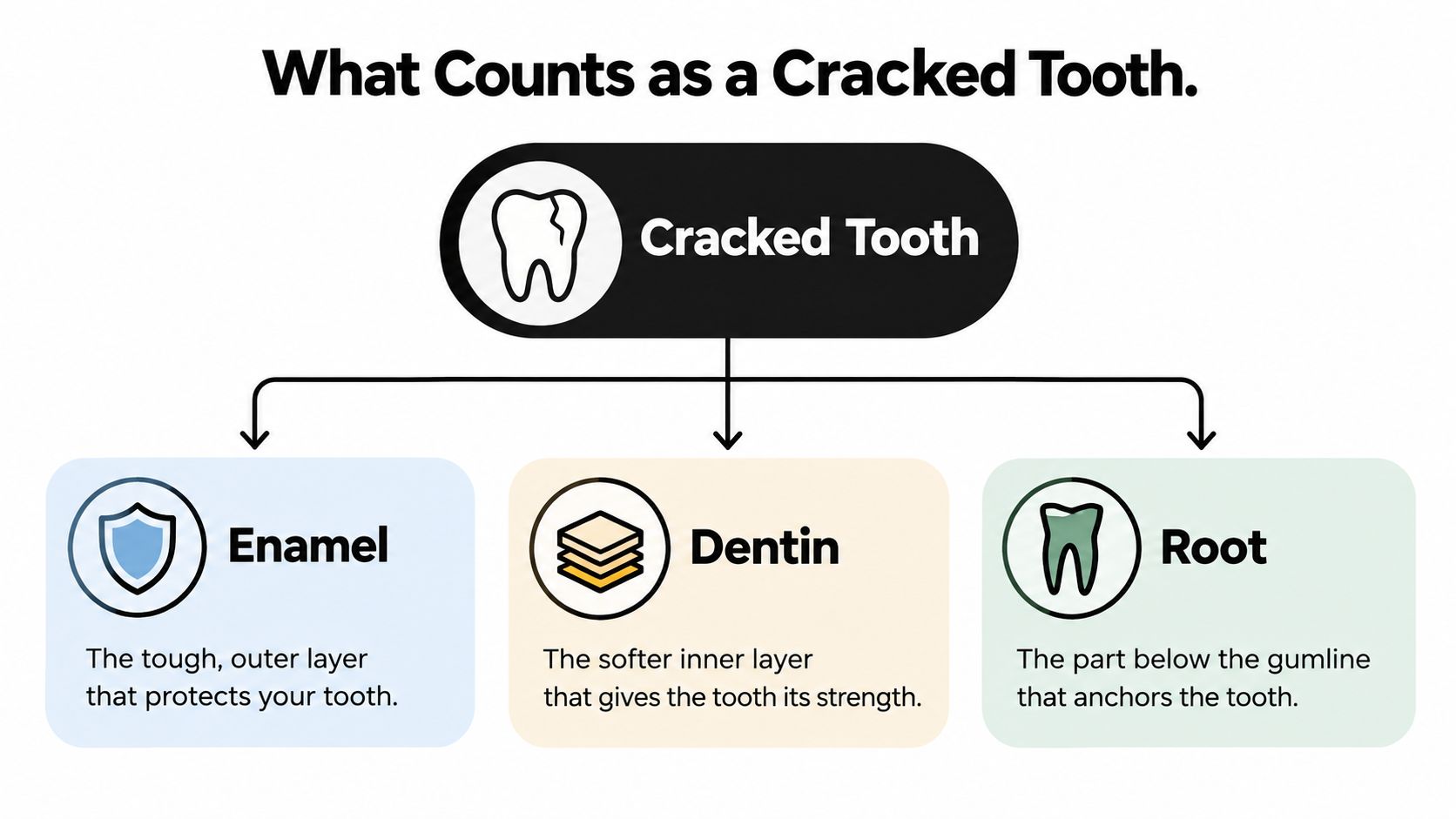 An infographic titled What Counts as a Cracked Tooth explaining enamel, dentin, and root components.