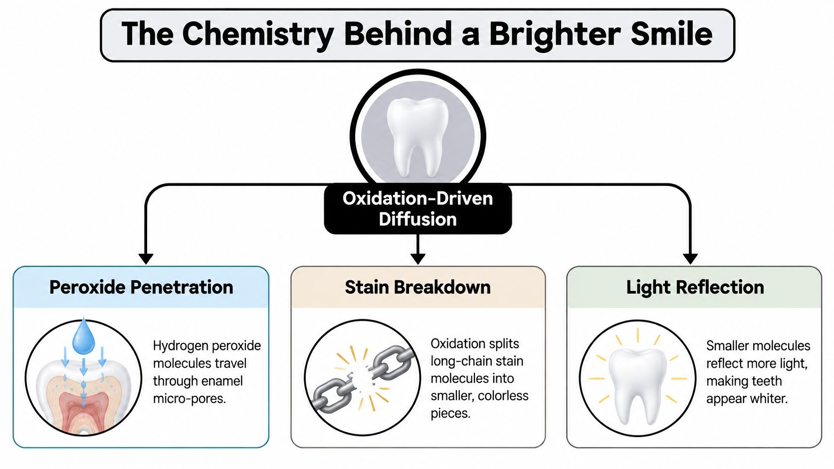 A diagram explaining the chemical process of professional teeth whitening through oxidation, stain breakdown, and light reflection.