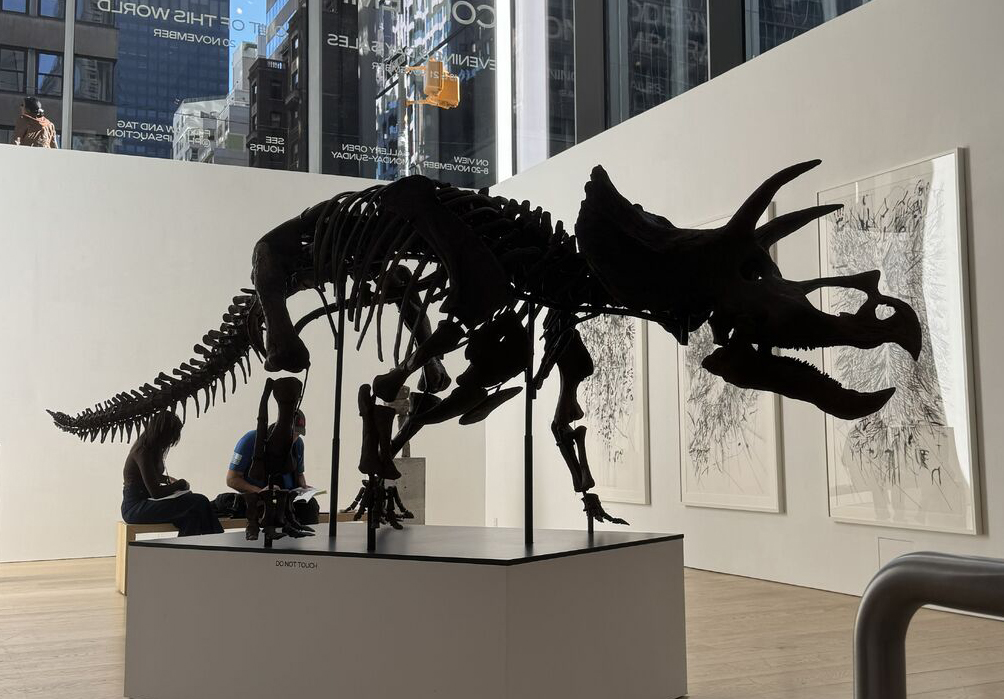 Natural History Meets Modern Art — and How Art Manager Fits In