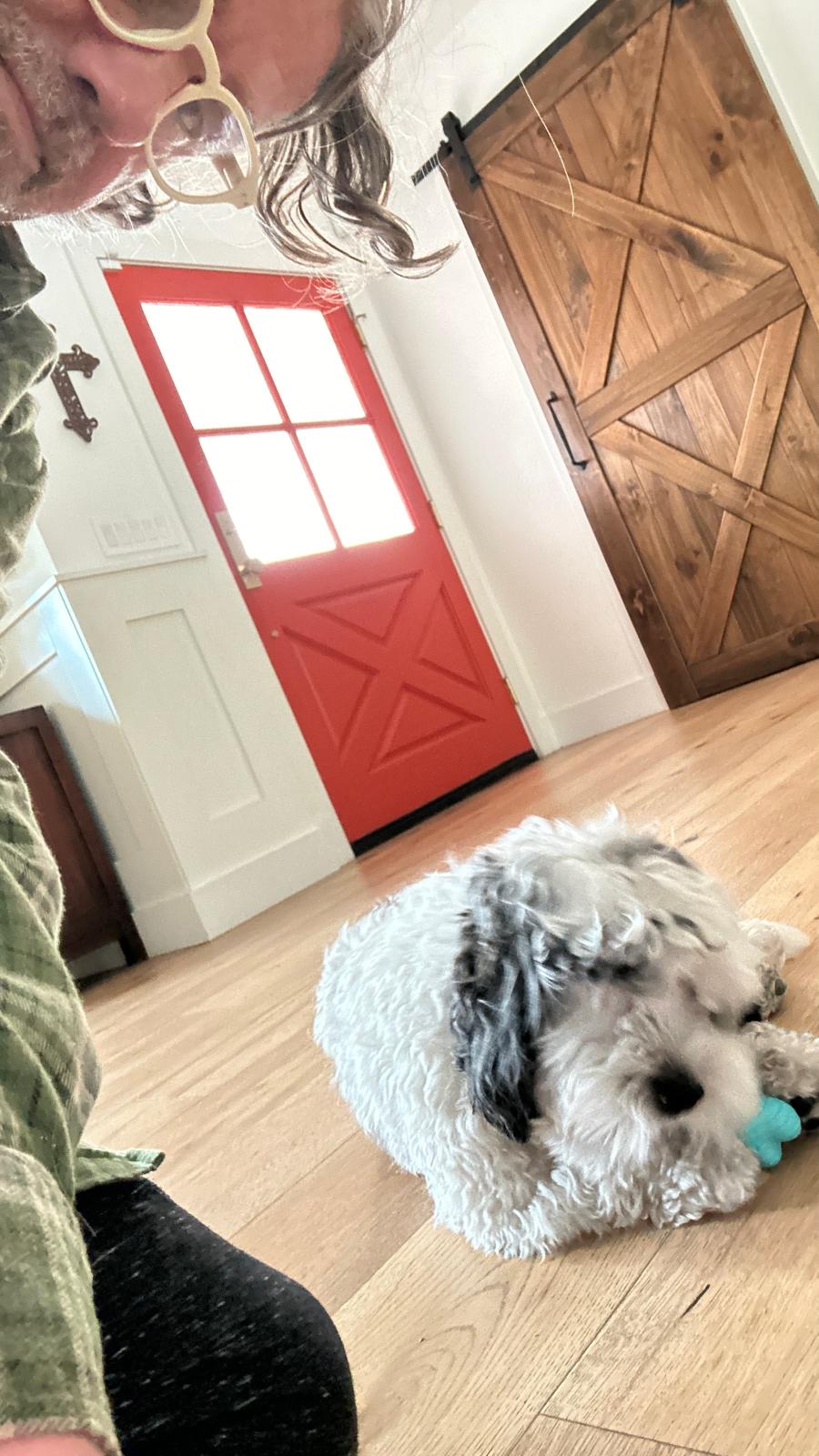 Project photo for Continental Remodeling INC