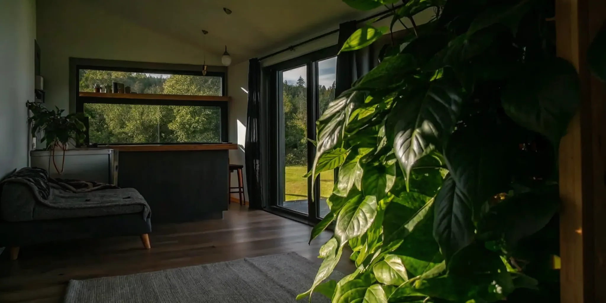 Sunlit modern ADU living space with kitchenette and warm wood interiors