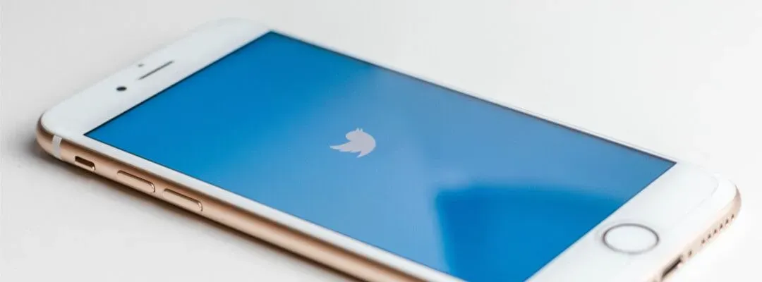 iPhone showing a blue screen with the Twitter logo.