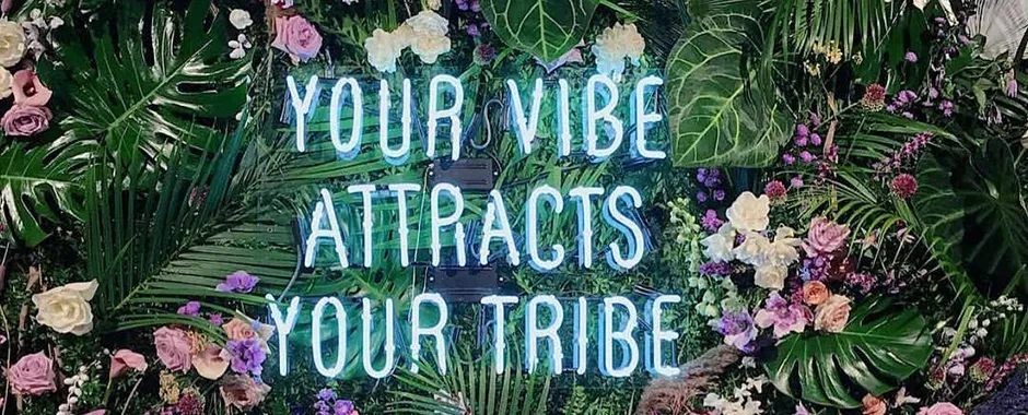 your vibe attracts your tribe"neon sign
