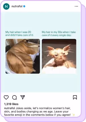 meme showing before and after of a cat with smooth, then messy hair