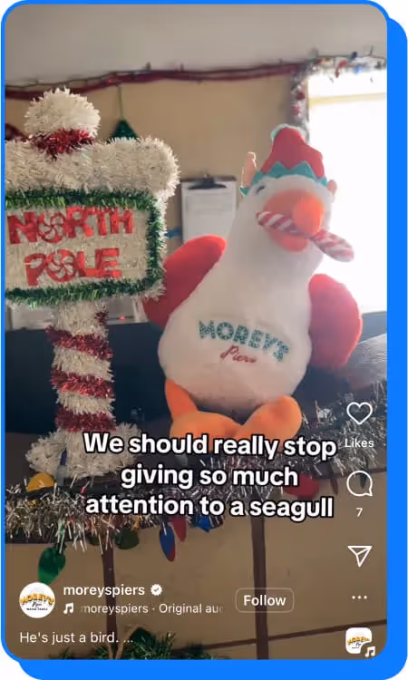 plush seagull dressed as an elf next to a "North Pole" sign with holiday decor