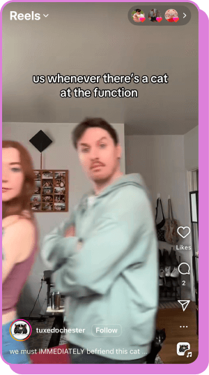 Two people turn excitedly with a caption about spotting a cat at a social event.