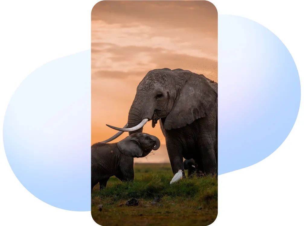 How BBC Studios Onboarded With Dash Social