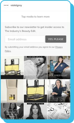 Beauty product promo and newsletter signup with Violet Grey Instagram posts below