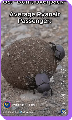 Two beetles pushing dirt ball with Ryanair caption about overpacking