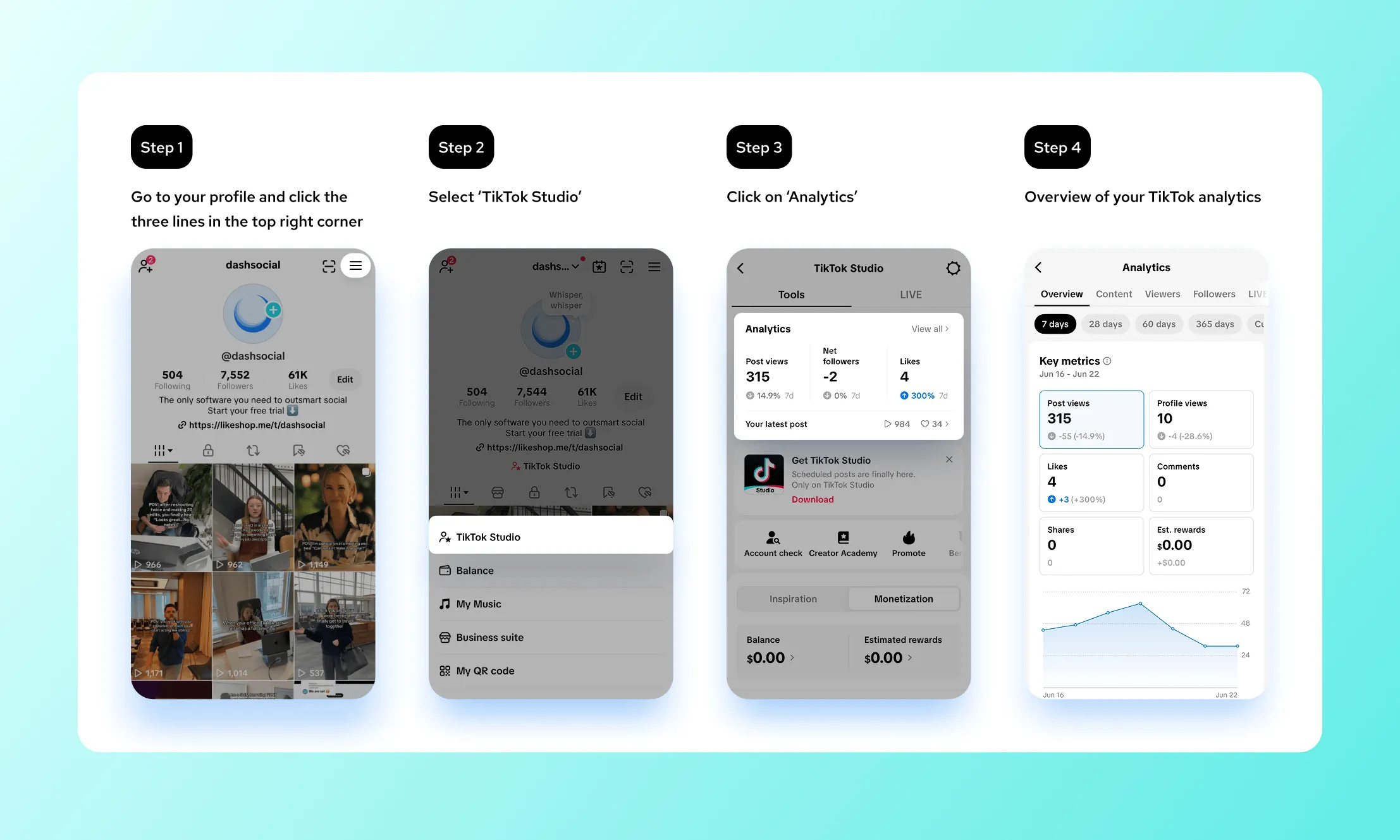 Step-by-step guide to accessing TikTok analytics using the Dash Social account