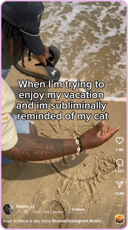 Person kneels on beach drawing a cat face in sand with caption about missing their cat.