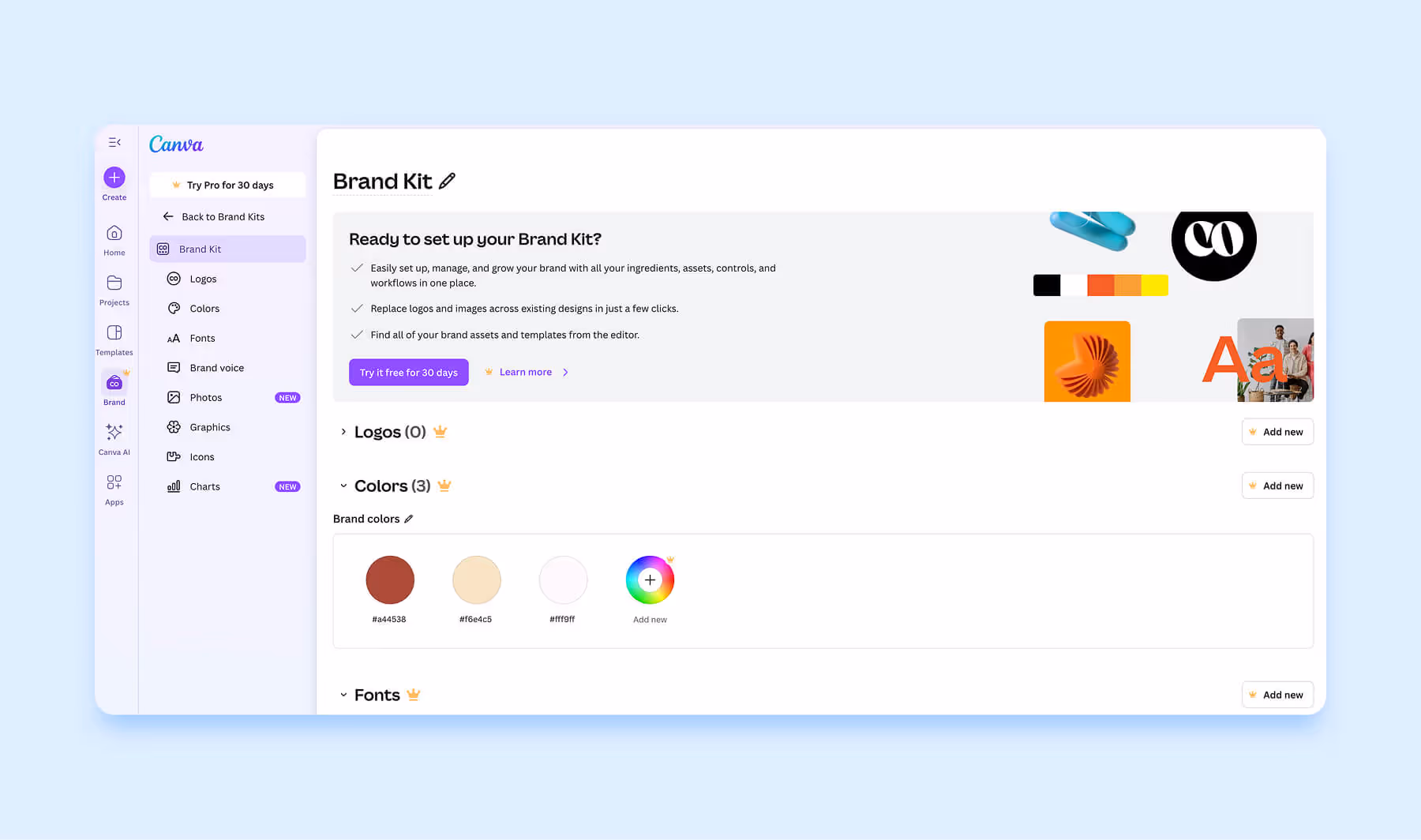 Canva Brand Kit editor with color palette, logo slots, and brand management tools