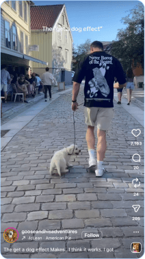 Man in graphic shirt walking white puppy down a cobblestone street